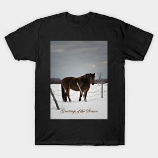 Horse in Winter. T-Shirt